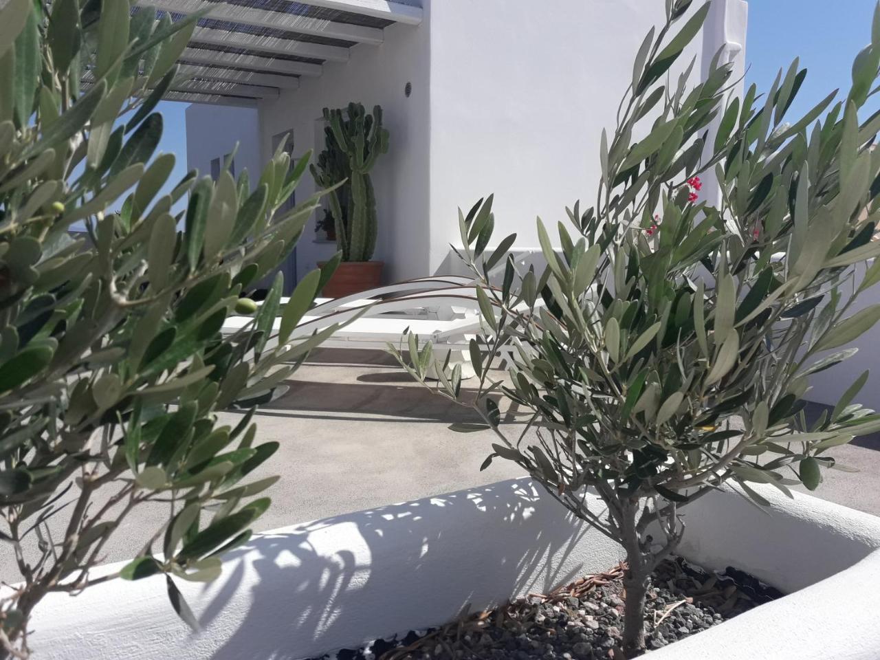 Sun Anemos Resort Oia  Bagian luar foto